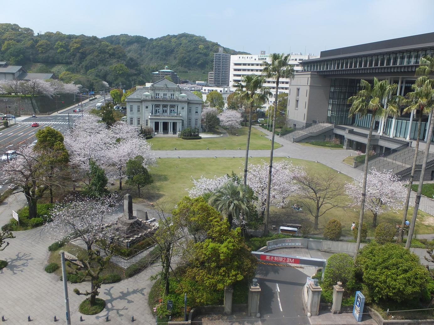 桜0402_1